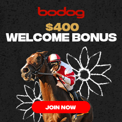 Bodog Horse Betting