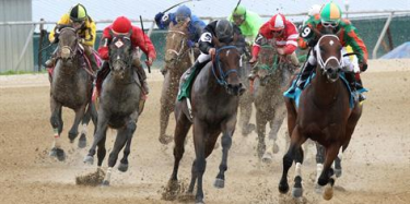 online horse betting canada