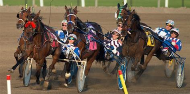 Legit Online Horse Betting Canada